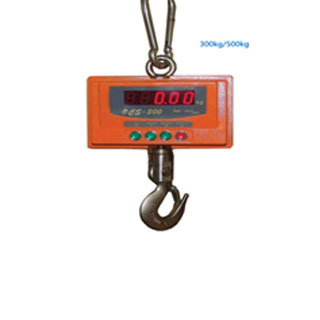 Hanging Scale