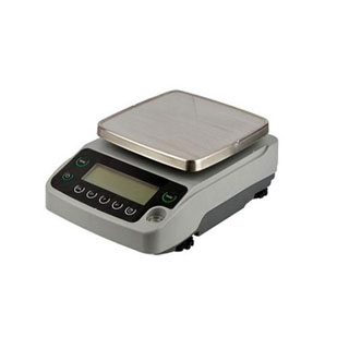 Precision Balance